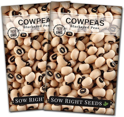 Sow Right Seeds - Black Eyed Cowpea Seeds for Planting - Non-GMO Heirloom Packet with Instructions to Plant a Home Vegetable Garden - Old Fashioned Bush Bean Variety - Extra Lucky (2)