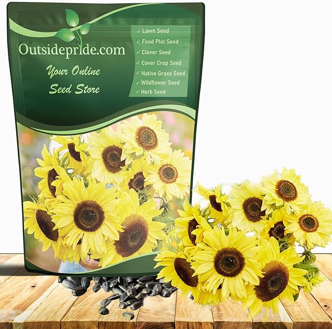 Outsidepride Lemon Queen Sunflower Seeds for Planting - 5 Lbs. Annual, Easy to Grow Flower Seeds w/Vibrant, Abundant Blooms for Cut Flower Arrangements & Pollinator & Vegetable Gardens