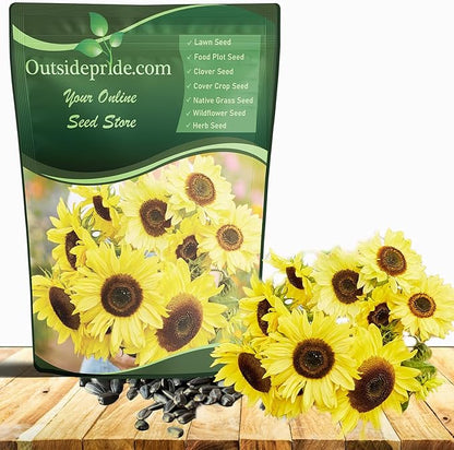 Outsidepride Lemon Queen Sunflower Seeds for Planting - 5 Lbs. Annual, Easy to Grow Flower Seeds w/Vibrant, Abundant Blooms for Cut Flower Arrangements & Pollinator & Vegetable Gardens