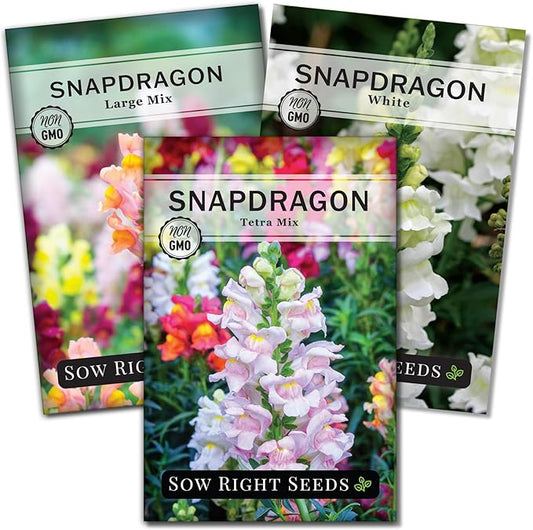 Sow Right Seeds - Snapdragon Seed Collection for Planting - Includes Tetra Mix, Large Mix & White Snapdragons - Non-GMO Heirloom Varieties - Grow Vibrant Snap Dragons - Ideal Flowers for Gardens