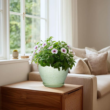 Ceramic Planter - 8 Inch Plant Pot with Drainage Hole and Saucer, Indoor Planters for Indoor Outdoor Plants, Decorative Flower Pots, Office Decor, Plant Lover Gifts, Crackle Light Green