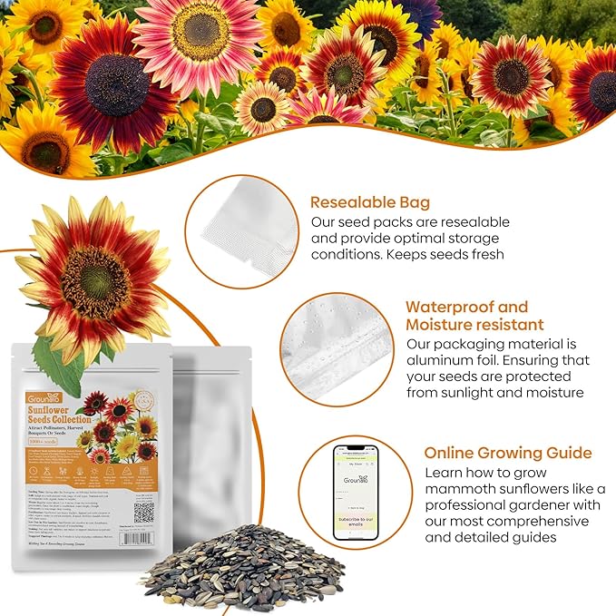 Sunflower Seeds for Planting, 15+ Varieties, 1 Oz, 300+ Mixed Seeds to Plant Colored Sunflower for Outdoors, Garden, Attracts Pollinators