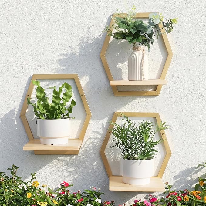 Modern Golden Hexagon Wall Planters with Solid Wood Shelves Set of 3 Geometric Floating Wall Decor for Indoor Plants, Stylish Wall Mounted Display for Succulents & Small Plants