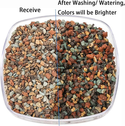 TOPZEA 12lb Mix Lava Rocks Pebbles for Plant, Potting Soil Decorative Landscaping Gritty Pumice, Volcanic Stone Gravel for Bonsai Succulent Cactus, Vase Filler, Fairy Gardening, Top Dressing