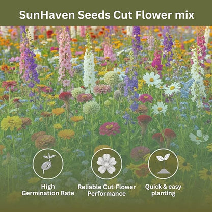 Cut Flower Garden Seed Mix – 15,000+ Seeds – 1 oz Extra Large Packet – Non-GMO Flower Seeds – Zinnia, Cosmos, Larkspur, Calendula, Bishop’s Flower & More for Bouquets & Cutting Gardens