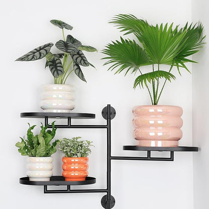 7.8 Inch + 5.7 inch 2 pcs Ceramic Plant Pots for Indoor Plants, Rainbow Pearl Glaze Planter with Planters for Plants with Drainage Hole, Orchid Pots, Succulent Pot, Flower Pot (White)