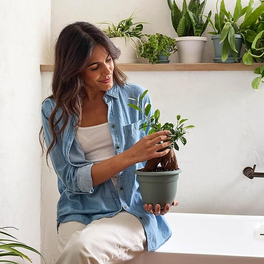 Bloem Ariana 6" Basil Round Self-Watering Resin Planter Pot - Rolled Rim Indoor and Outdoor Gardening Planter