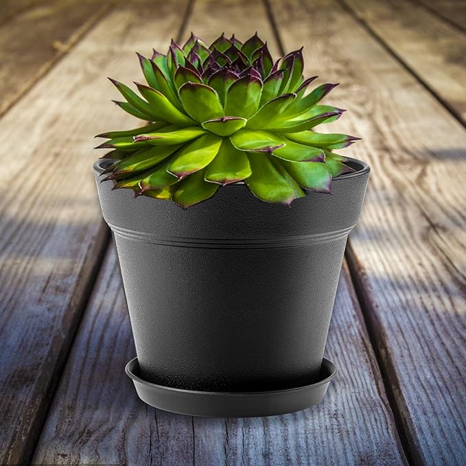 16 Pack Plastic Plant Pots with Drainage Holes and Tray, 4 inch Thickened Indoor Planters Seedlings Nursery Pots for Flowers, African Violet, Succulent and All House Plants, Black