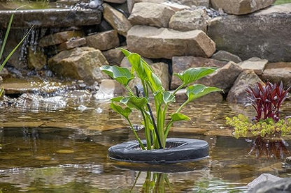 Pondh2o Floating Aquatic Water Garden Pond Planter Woven Fabric Basket, 10 Inch Square, Floatable Aquatic Plant or Flower Islands for Ponds and Water Features