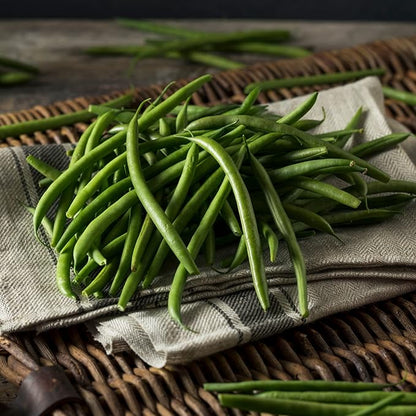 Park Seed Organic Derby Bush Green Bean Seeds – AAS Winner, High Yield 18-Inch Plants, Straight 7-Inch Pods, Disease Resistant, Easy to Harvest and Preserve for Home Gardens – Pack of 100 Seeds