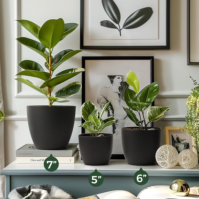 T4U 6 Inch Self Watering Planters Plastic Plant Pot, Modern Decorative Flower Pot/Window Box for All House Plants, Flowers, Herbs, African Violets, Succulents - Black, Set of 6
