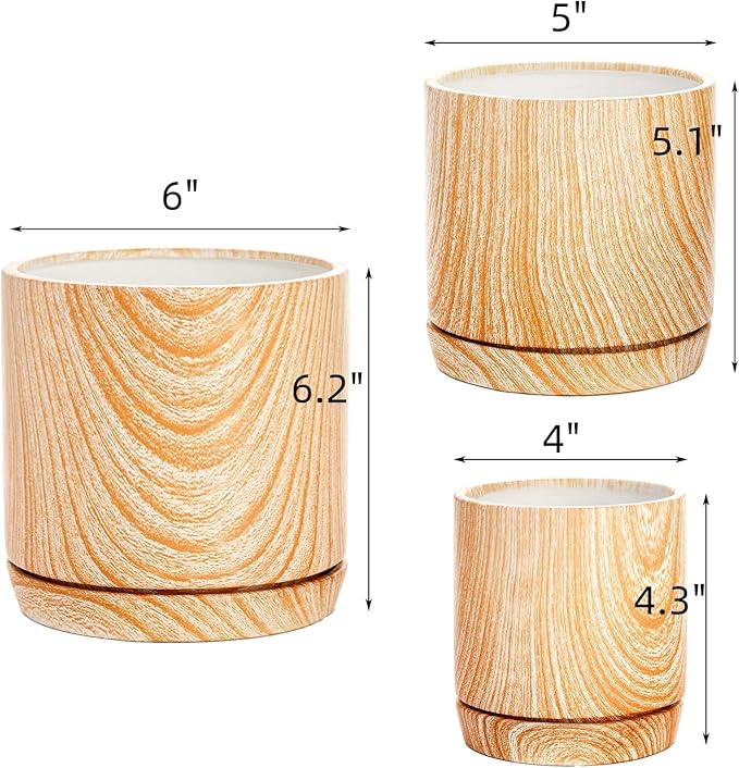 Dicunoy Set of 3 Ceramic Planters - 6"/5"/4" Cylinder Flower Pots with Drainage Holes and Saucers for Indoor, Outdoor, Garden, Cactus, Herbs, Snake Plants, Aloe Vera, All House Plants