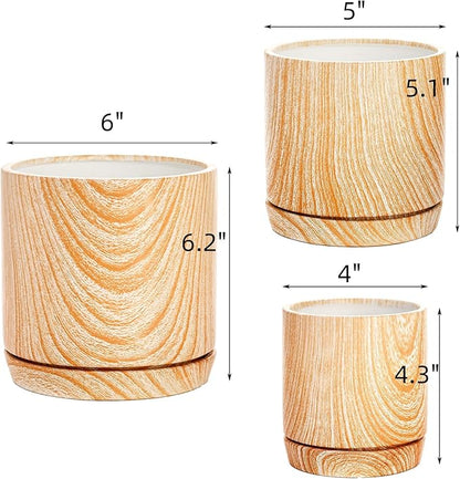Dicunoy Set of 3 Ceramic Planters - 6"/5"/4" Cylinder Flower Pots with Drainage Holes and Saucers for Indoor, Outdoor, Garden, Cactus, Herbs, Snake Plants, Aloe Vera, All House Plants