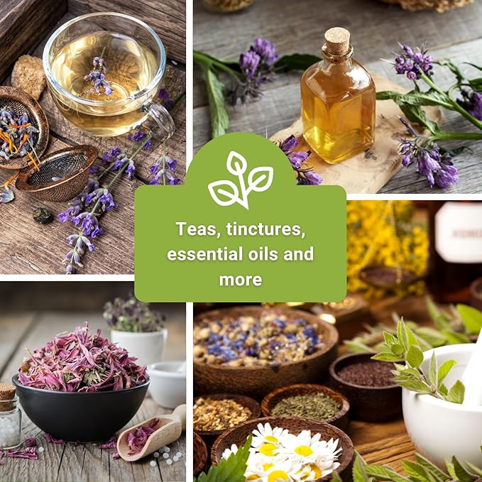 Sow Right Seeds - Medicinal Herb Seed Collection for Planting - Roman Chamomile, Echinacea, Lavender, Hyssop & Comfrey - Non-GMO Heirloom Seed - Grow Your own Home Remedies, Teas, & Tinctures