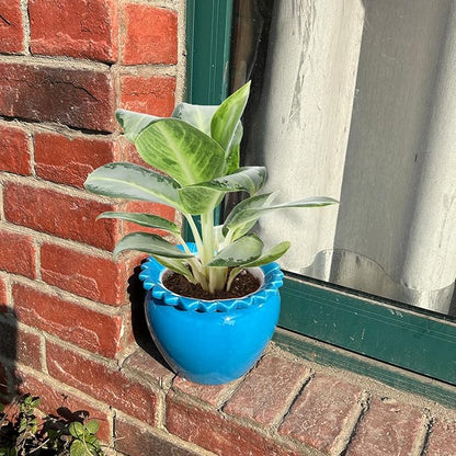 African Violet Pots 6.5 * 4.6 Inch Blue Ceramic Easy Plant Self Watering Pot Blue Ceramic Flowerpot with Water Absorbing Inner Pot Orchid Planter Lawn Yard Outside Decor