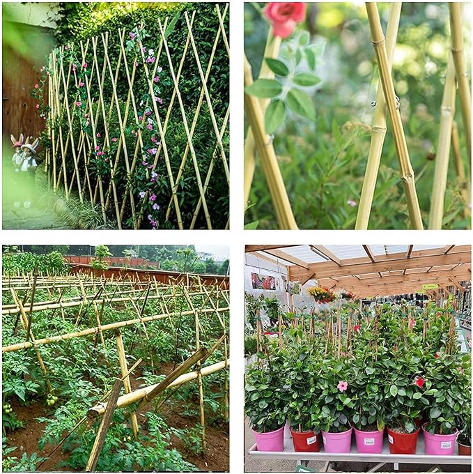 6ft Bamboo Garden Stakes Eco-Friendly Plant Stakes 6 Feet, Bamboo Poles for Tomatoes Beans Climbing Plants Support - Pack of 20 Bamboo Stakes