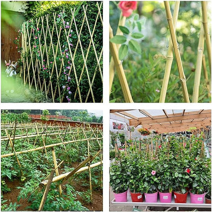6ft Bamboo Garden Stakes Eco-Friendly Plant Stakes 6 Feet, Bamboo Poles for Tomatoes Beans Climbing Plants Support - Pack of 20 Bamboo Stakes