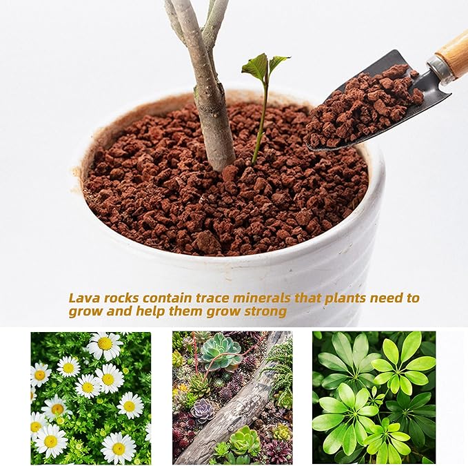 1.5 Lb Red Lava Rocks for Plants Decorative Landscaping 1/2" Lava Rock Granules Top Dressing for Cacti, Succulents Bonsai Plants for Release Excess Water to Prevents Root Rot