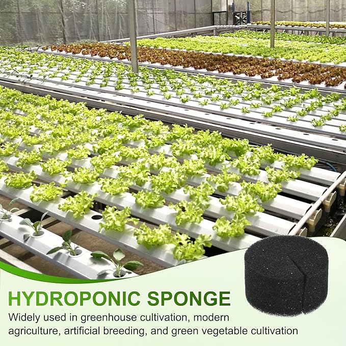 30-Pack Hydroponics Sponges, 1.97 Inch Growing Media Cylindrical Sponges for Planting Gardening Tool/Grow Seedlings/Home Vegetable Flower, Soilless Cultivation Seedling [Black]