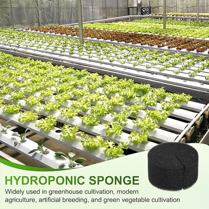 30-Pack Hydroponics Sponges, 1.97 Inch Growing Media Cylindrical Sponges for Planting Gardening Tool/Grow Seedlings/Home Vegetable Flower, Soilless Cultivation Seedling [Black]