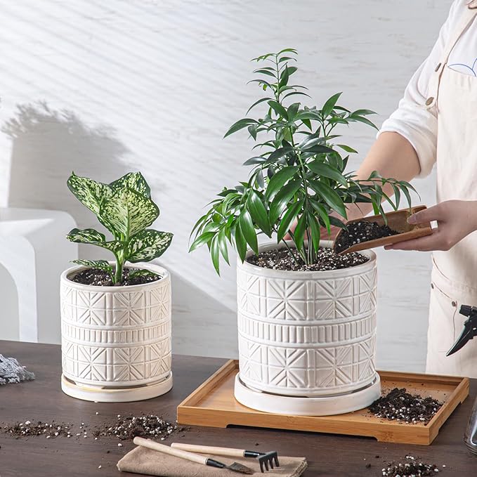 Ceramic Plant Pots Indoor-Outdoor: 6 Inch Embossed Planters with Drainage Hole & Saucer - Modern Decorative Flower Pots for Home Garden Patio Office Decor