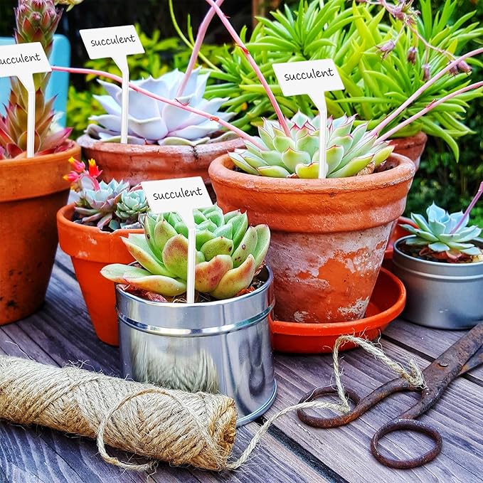 100 Pcs Large Plastic Plant Labels, 12.2 Inch White T-Type Waterproof Garden Markers for Pots, Flowers, Vegetables, Nursery and Outdoor Use