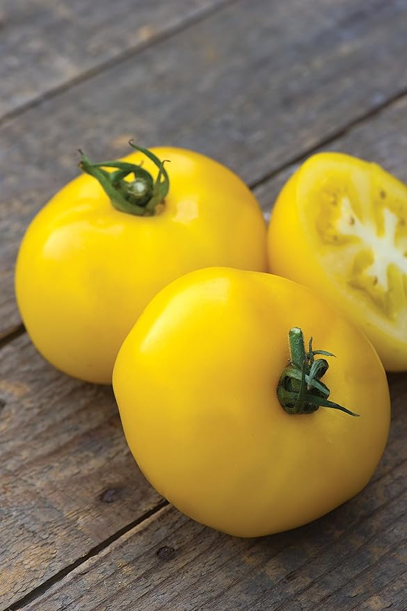 Burpee 'Sunny Boy' Hybrid, Yellow Beefsteak Slicing Tomato, 30 Non-GMO Seeds