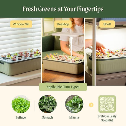 EZ Leafy Planter – Self-Watering Indoor Planter Box with Reservoir & Humidity Dome | Soil-Based Countertop Garden Kit for Leafy Greens, Lettuce, Spinach & Herbs | Kitchen Windowsill Planter