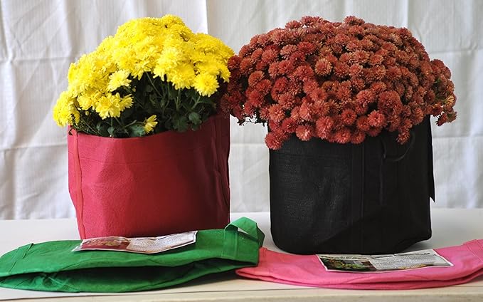 EnRoot Products LLC RootEase 5-Pack Garden Planting Fabric Pot, Heavy Duty Durable Grow Bags/Planter, Raised Bed Gardening, Eco-Friendly Grow Bags with Handles (3 Gallon, Red)