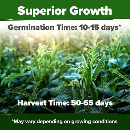 HOME GROWN Clemson Spineless Okra Seeds - 101 Heirloom Vegetable Seeds, Premium Garden Seeds for Planting Outdoors (Abelmoschus esculentus)