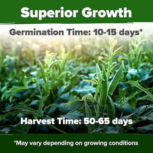 HOME GROWN Clemson Spineless Okra Seeds - 101 Heirloom Vegetable Seeds, Premium Garden Seeds for Planting Outdoors (Abelmoschus esculentus)