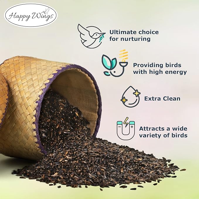 Happy Wings Nyjer/Thistle Seeds Wild Bird Food - 5 Pounds I No Grow Seed I Bird Seed for Wild Birds