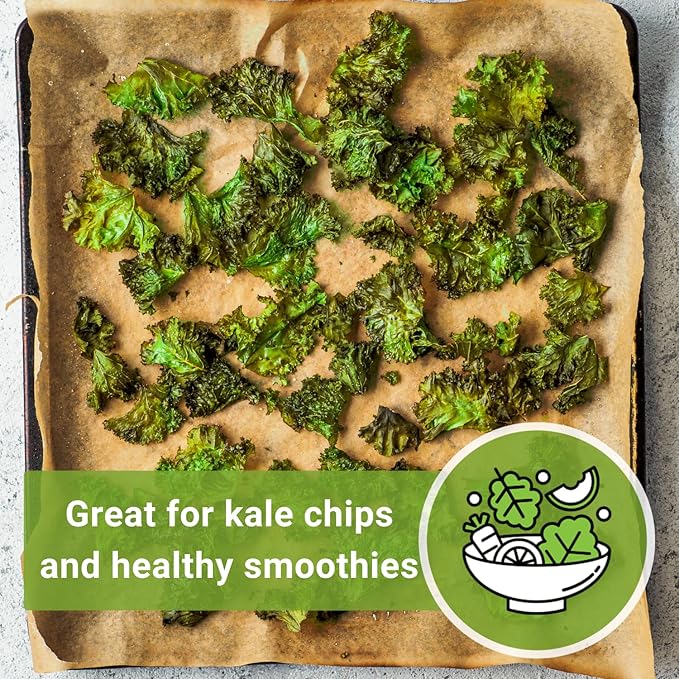 Sow Right Seeds - Dwarf Siberian Improved Kale Seed for Planting - Non-GMO Heirloom Packet with Instructions to Plant a Home Vegetable Garden - Very Nutritious Superfood - Classic Variety (4)