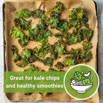 Sow Right Seeds - Dwarf Siberian Improved Kale Seed for Planting - Non-GMO Heirloom Packet with Instructions to Plant a Home Vegetable Garden - Very Nutritious Superfood - Classic Variety (4)