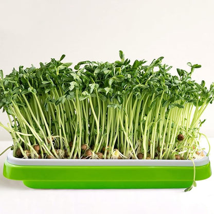 Pack 10 Seed Sprouter Tray with Drain Holes,Seed Germination Tray Kit BPA Free Nursery Tray,Soil-Free Big Capacity Healthy Wheatgrass Grower Sprouting Container Kit..