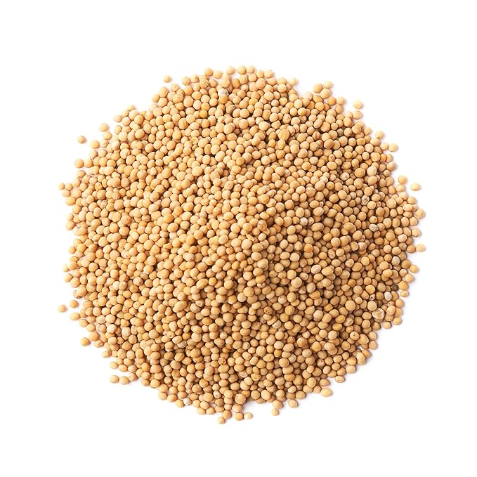 Food to Live - Organic Yellow Mustard Seeds, 20 Pounds - Non-GMO, Whole Dried Spice, Vegan, Kosher, Bulk. Spicy, Pungent Flavor. High in Selenium, Fiber