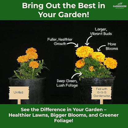 13-13-13 Slow Release Granular Fertilizer – All Purpose Plant Food 13 13 13 for Outdoor Grass, Vegetables, Roses, Flowers, Shrubs, Trees. Lawns, Gardens, Potted Plants (10 quarts)