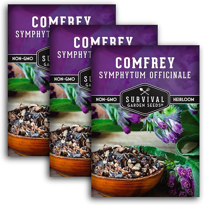 Comfrey Seeds for Planting - Symphytum Officinale Medicinal Perennial Herb for Compost Tea & Natural Skincare - True Slippery Root Non-GMO Heirloom - Survival Garden Seeds (3 Pack)