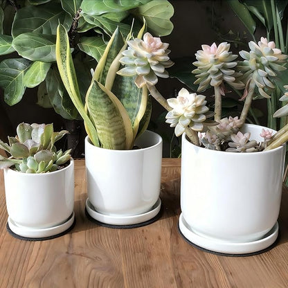 Ceramic Plant Saucer Pot Tray 6、8、10 Inch White, Planter Saucers for Indoors Outdoor, Durable Sturdy Flower Drainage drip Water Tray for Glazed Pots Base