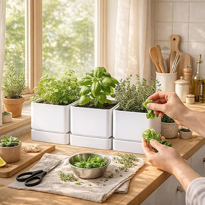 D'vine Dev 6 Inch Herb Planter Pot, Plastic Planter with Drainage Holes and Saucer, Modern Decorative Gardening Pot for Indoor Plants, Flowers, Herbs, Succulents, White, Set of 3, 76-Y-A3-2
