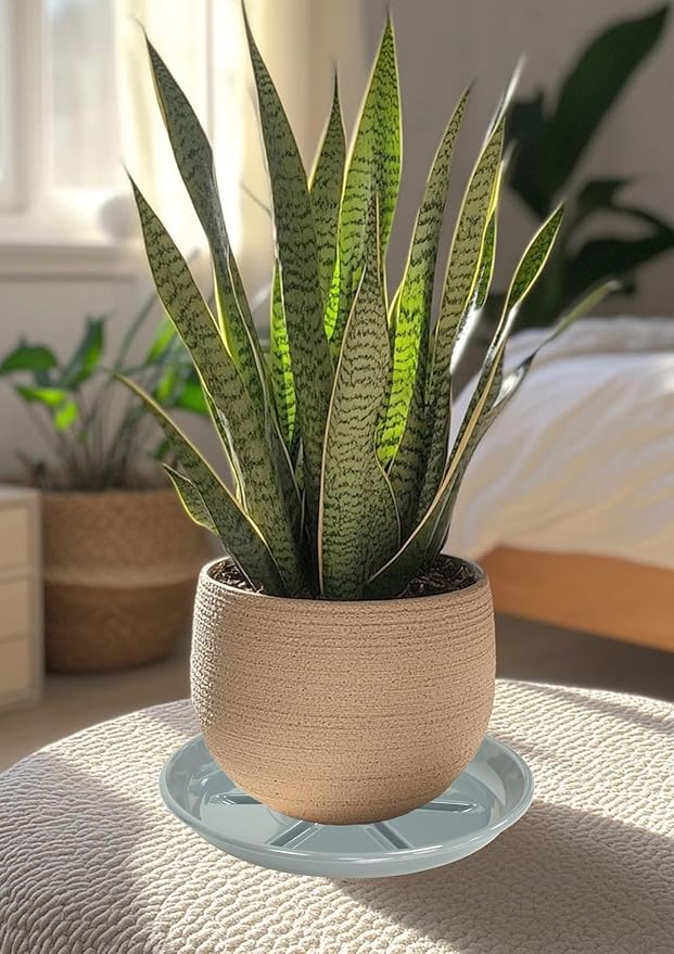 6 Pack of Plant Saucer 12 inch, Plant Trays for Indoors No Holes, Plant Drip Trays for Indoors Outdoor, Plant Water Tray for Planters, Gray
