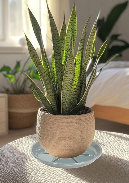 6 Pack of Plant Saucer 12 inch, Plant Trays for Indoors No Holes, Plant Drip Trays for Indoors Outdoor, Plant Water Tray for Planters, Gray
