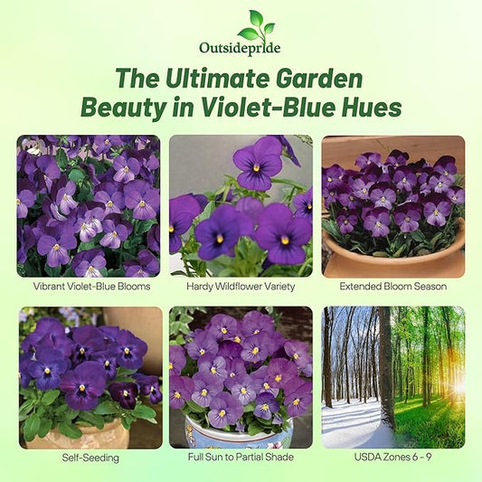 Outsidepride Admiration Viola Pansy Seeds for Planting - 1000 Pcs. Perennial, Cold-Hardy & Pollinator Friendly Flowers with Fragrant Blooms for Garden Beds, Borders & Container Displays