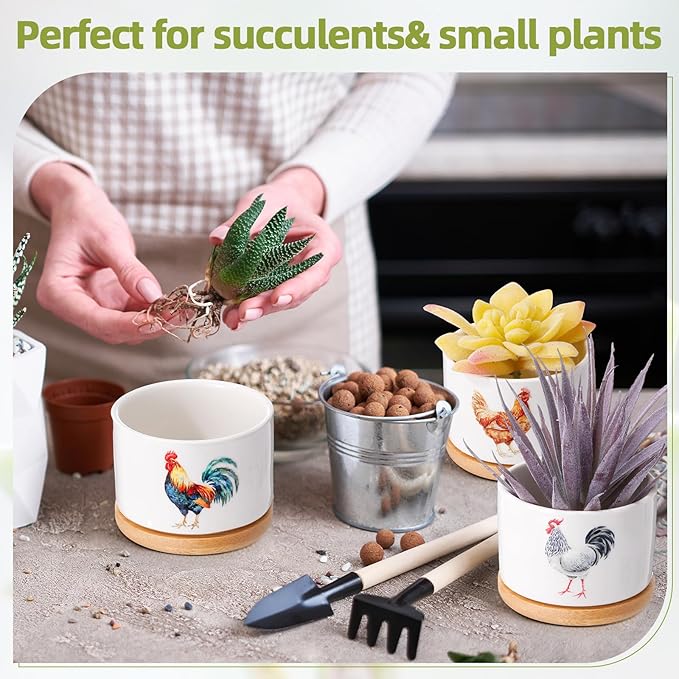 Vesici 3 Pcs Chicken Gifts for Women Chicken Planter Succulent Pots with Drainage and Bamboo Tray Small Ceramic Succulent Planters Animal Plant Pot for Christmas Office Home Decor Plant Lovers