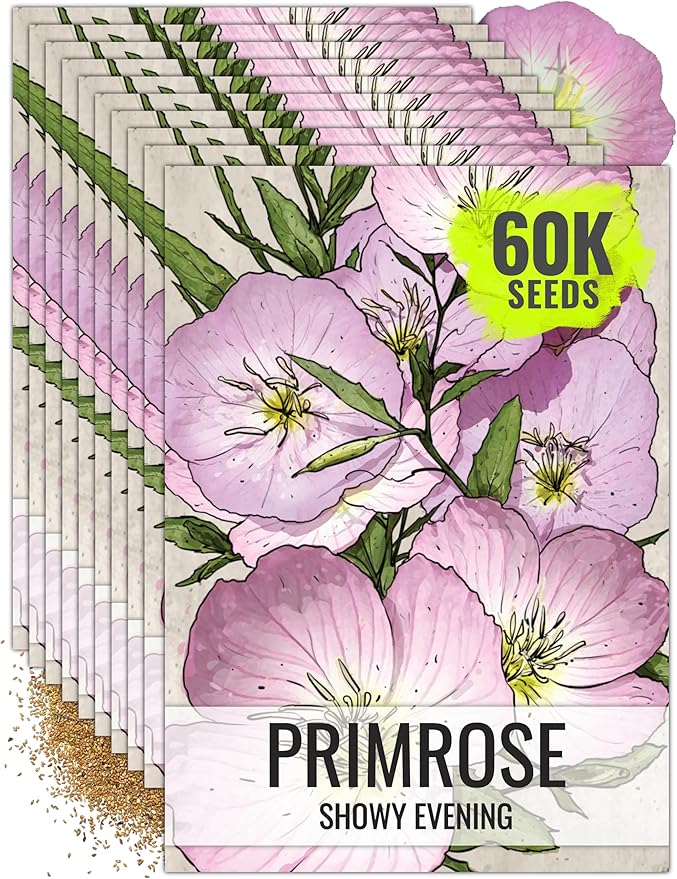 Seed Needs Showy Evening Primrose Seeds for Planting - Heirloom & Open Pollinated Perennial Flower Seed to Plant a Butterfly Garden (10 Packs)