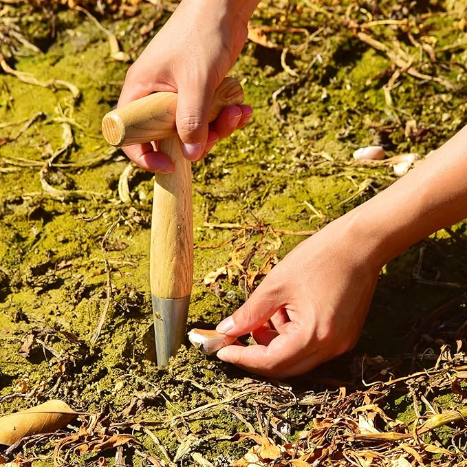 Seed Dibber Hand Dibber Bulb Planter Tool, Stainless Steel Garden Dibber with Wooden Handle for Planting Seeds, Bulbs, Tulips, Daffodils and Flowers