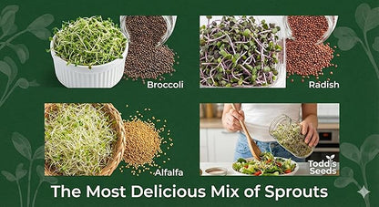 Todd's Seeds Sprouting Seed Mix; Broccoli, Radish, Alfalfa, Non-GMO, Chemical Free, High Germination (1/4 Pound)