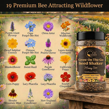 Mini Wildflower Seed Shaker – Honey Bee Wildflower Mix, by GevaGrow | Bulk 90,000+ Seeds | Pollinator Bee Attracting Flower Seeds for Planting in Pots & Outdoor Gardens | No Messy Packets