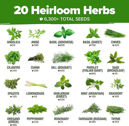 HOME GROWN Premium Herb Seeds Variety Pack - 20 Heirloom Herb Seeds for Planting - 6,000+ Non-GMO Seeds with Plant Markers - Indoor Outdoor Hydroponic Herb Garden - Culinary & Medicinal Herbs