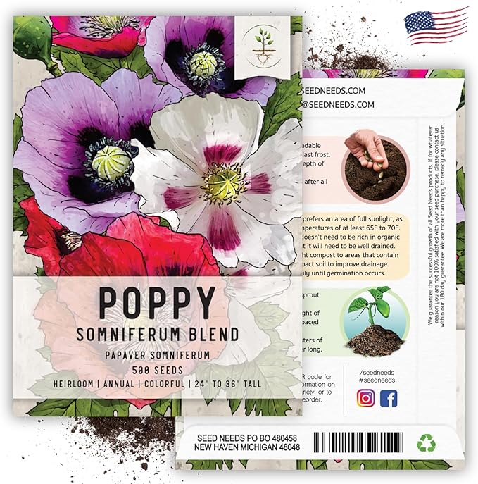 Seed Needs Mixed Somniferum Poppy Seeds for Planting - Heirloom & Open Pollinated Annual Flowers - Colorful Masses of Wildflowers, Perfect for a Butterfly Garden (1 Pack)